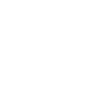 phone-volume-icon